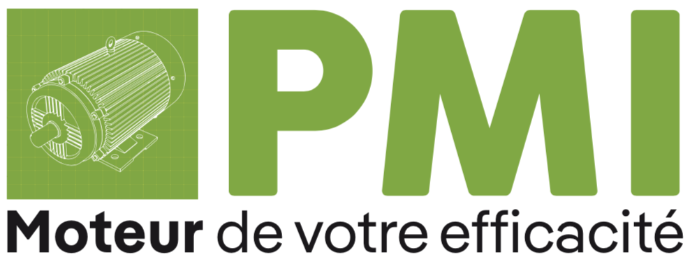 PMI Moteurs
